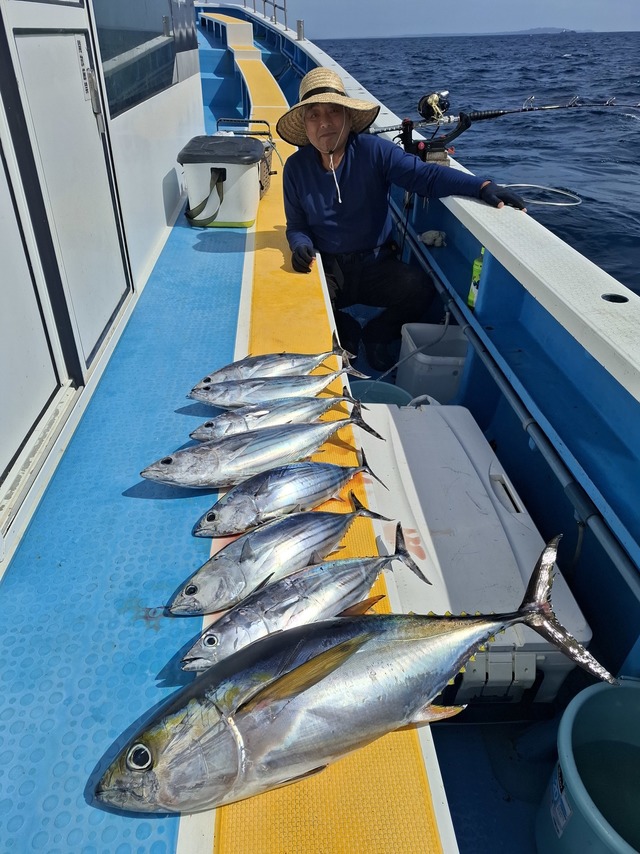 キメジ(キハダ)・カツオ