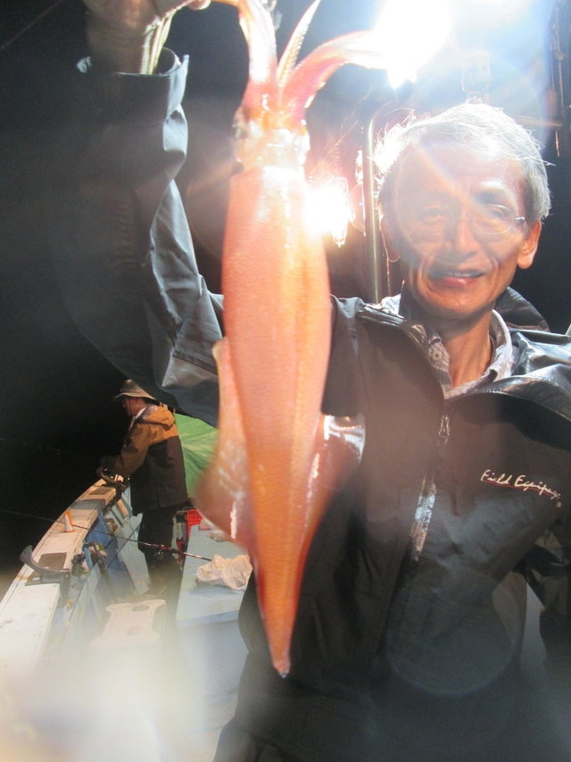 マイカ(ケンサキイカ)