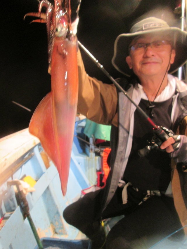 マイカ(ケンサキイカ)