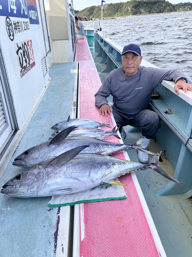 キハダ・カツオ