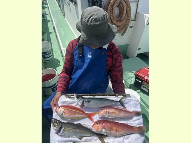 アジ(マアジ)・アカアマダイ・イトヨリダイ