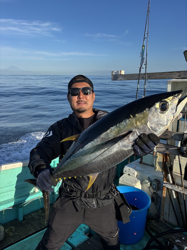 キメジ(キハダ)