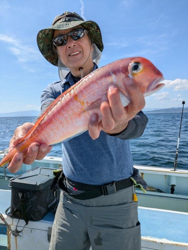 アマダイ(アカアマダイ)