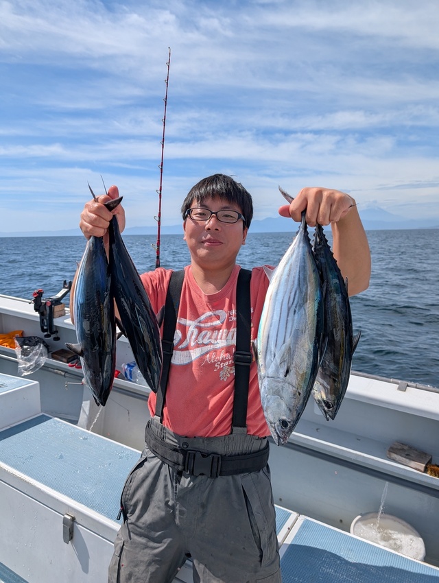 ホンガツオ(カツオ)