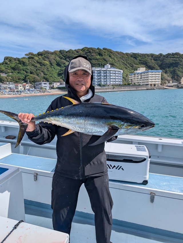 キメジ(キハダ)