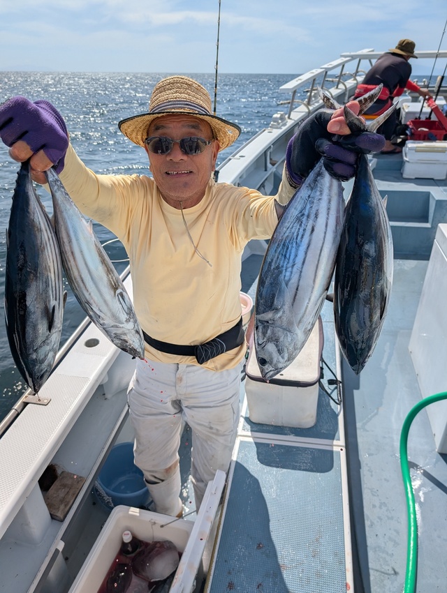 ホンガツオ(カツオ)