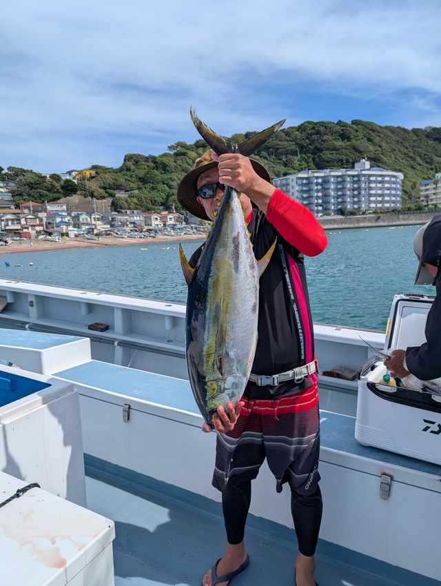 キメジ(キハダ)