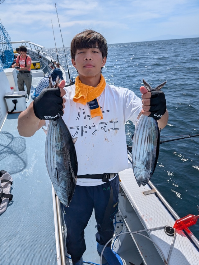 ホンガツオ(カツオ)