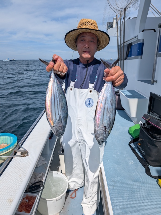 ホンガツオ(カツオ)