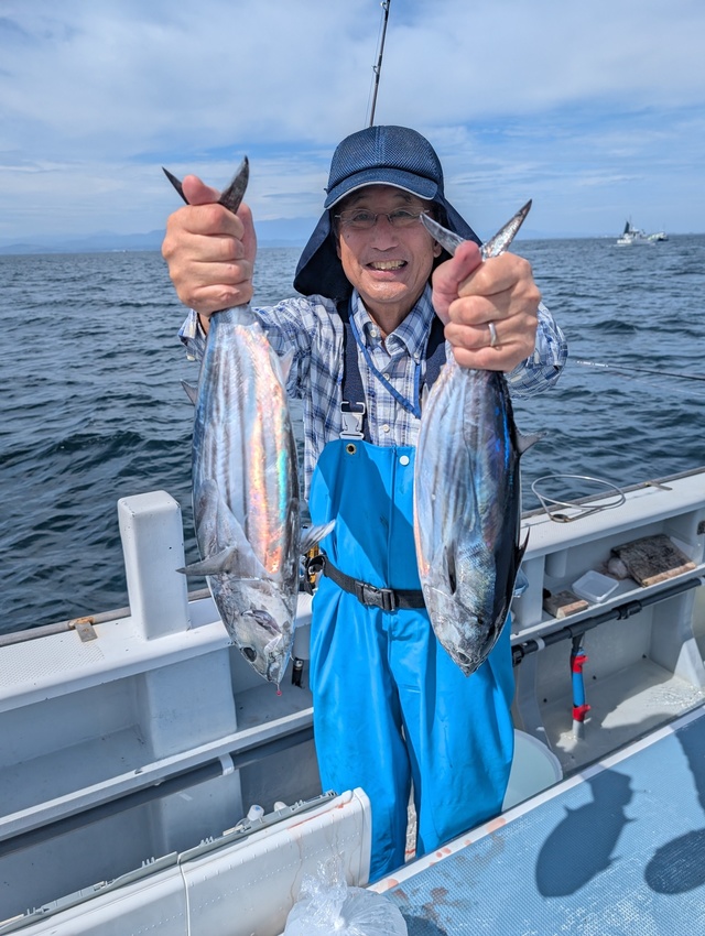 ホンガツオ(カツオ)