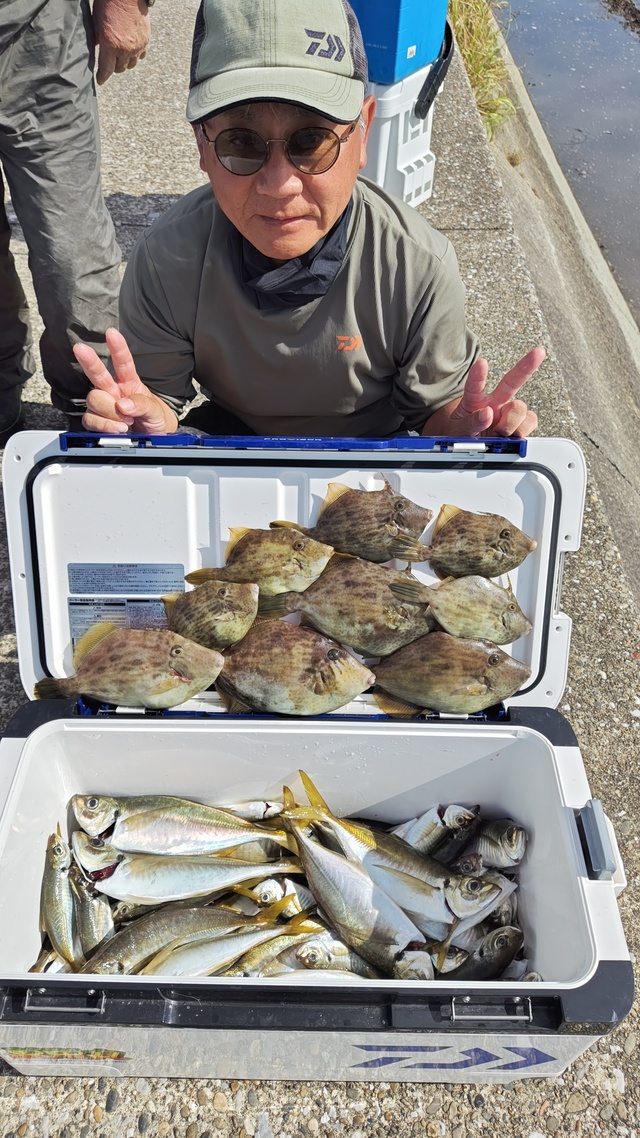 アジ(マアジ)・カワハギ