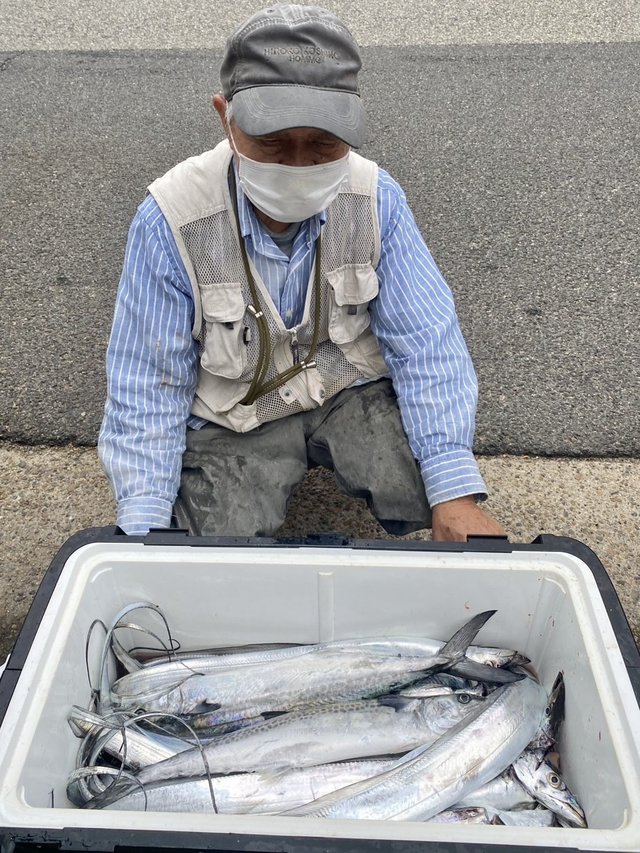 サゴシ(サワラ)・タチウオ