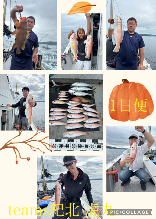 キジハタ・メジロ(ブリ)・シロアマダイ・イトヨリ(イトヨリダイ)