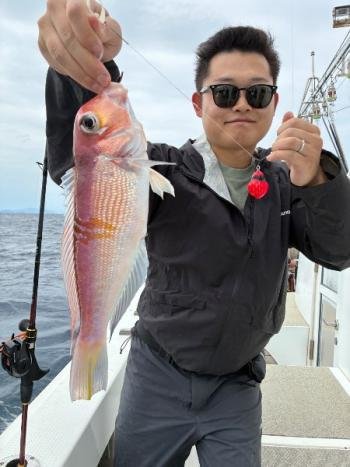 アマダイ(アカアマダイ)