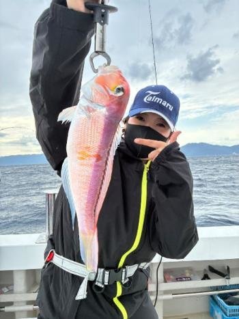 アマダイ(アカアマダイ)