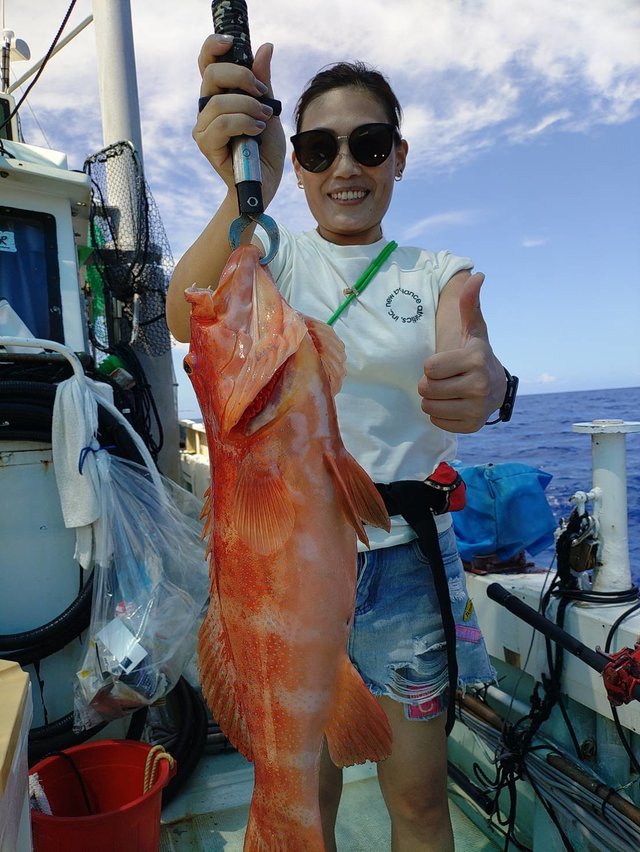 アカジン(スジアラ)