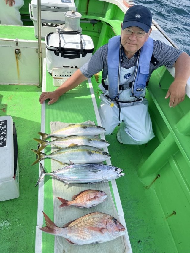 マダイ・イナダ(ブリ)