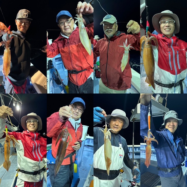 マルイカ(ケンサキイカ)