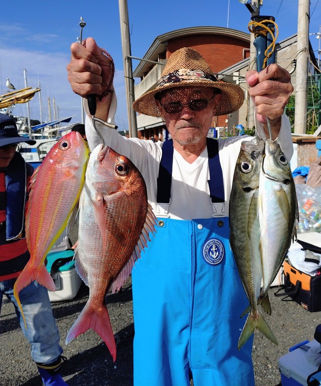 マダイ・アジ(マアジ)