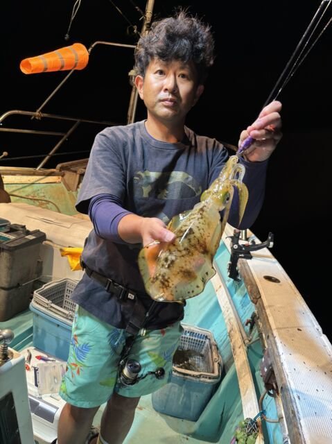 アオリ(アオリイカ)