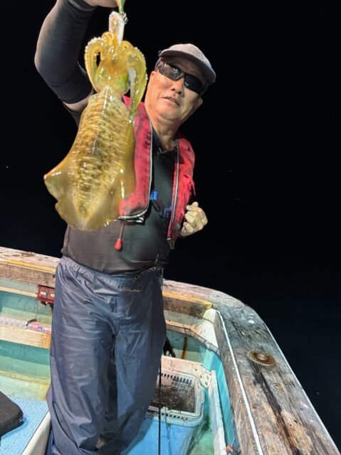 アオリ(アオリイカ)