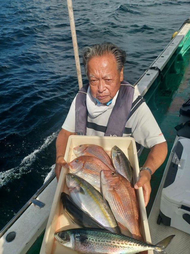 マダイ・アジ(マアジ)・イナダ(ブリ)・サバ(ゴマサバ)