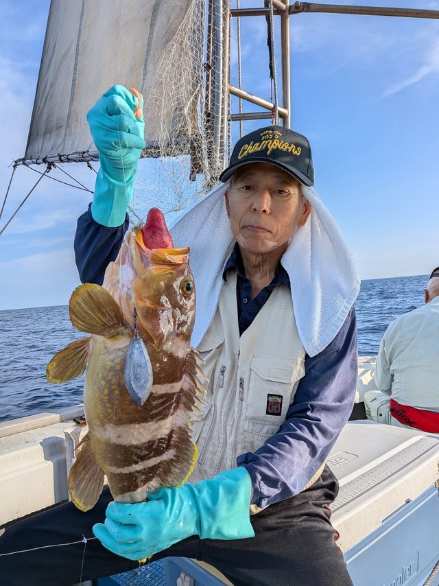 アオナ(アオハタ)