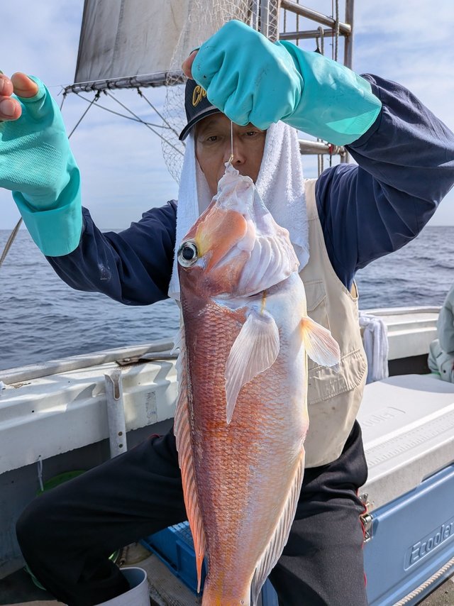 アマダイ(アカアマダイ)