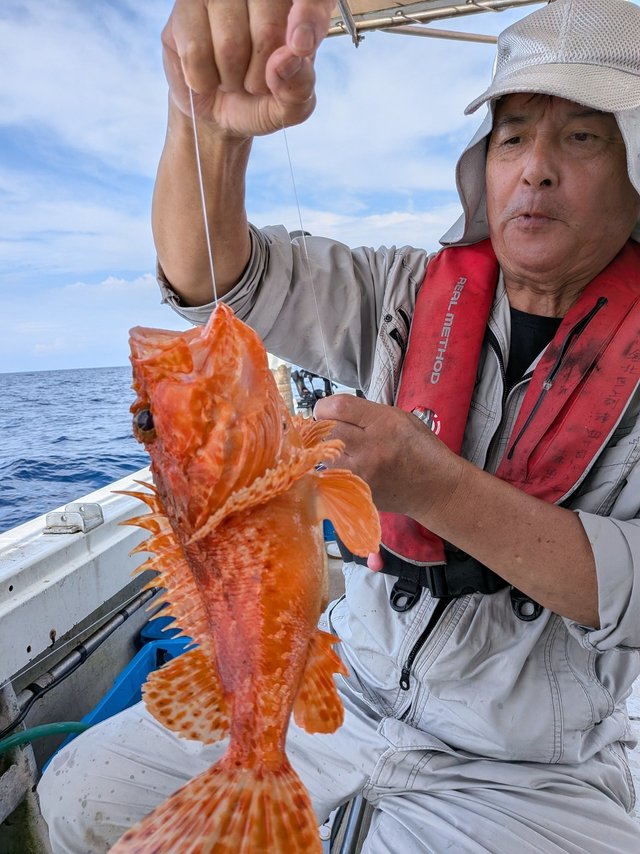 アラカブ(カサゴ)