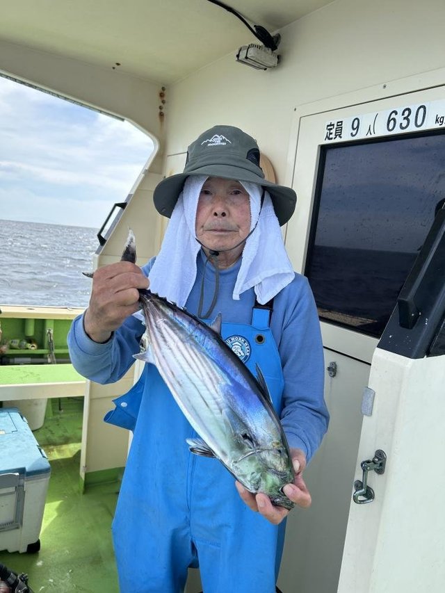 ホンガツオ(カツオ)