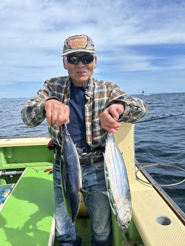 ホンガツオ(カツオ)