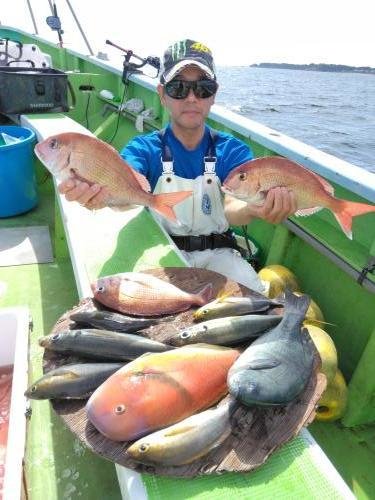 マダイ・アジ(マアジ)・イサキ・イラ