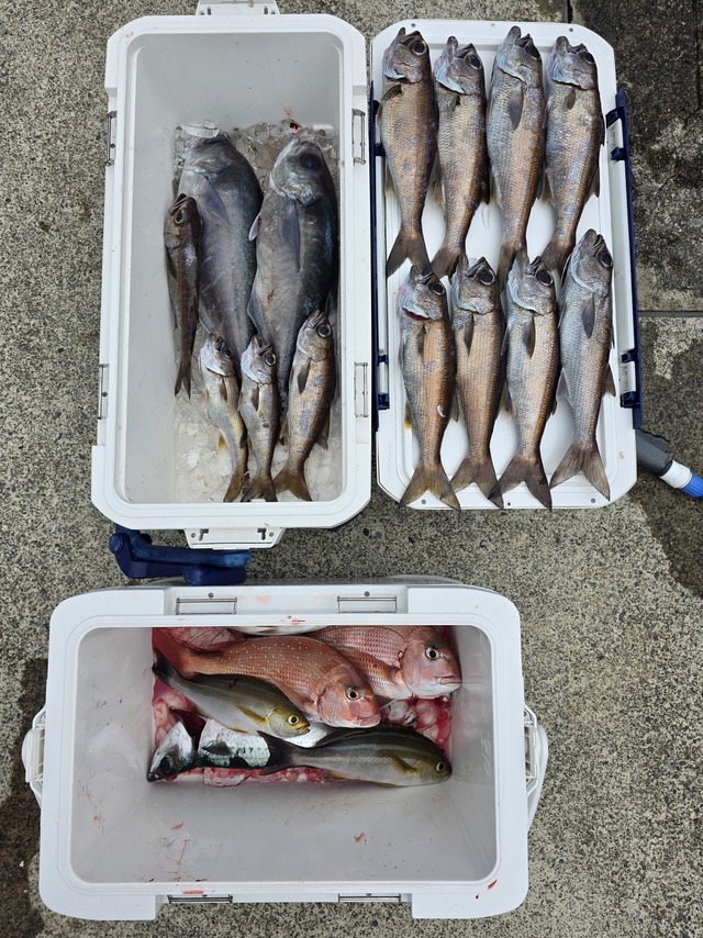 マダイ・クロムツ