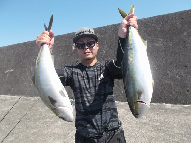 イナワラ(ブリ)