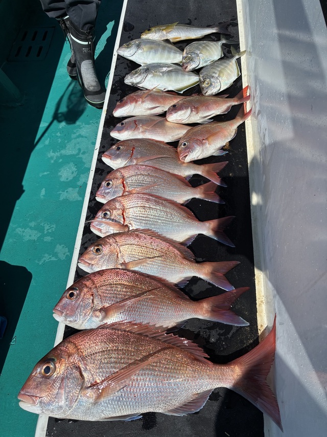 マダイ・チダイ