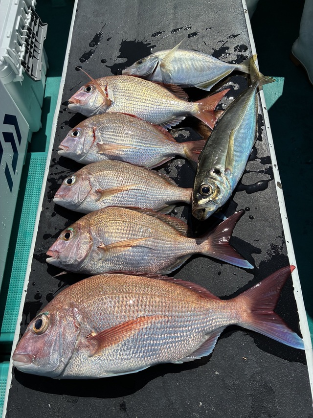 マダイ・チダイ