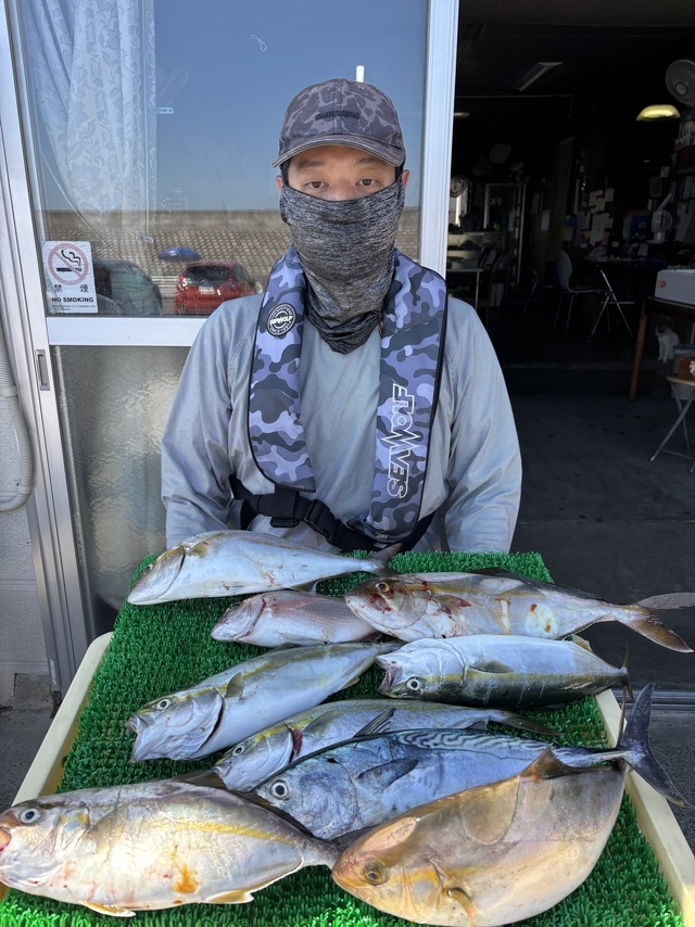 イナダ(ブリ)・カンパチ