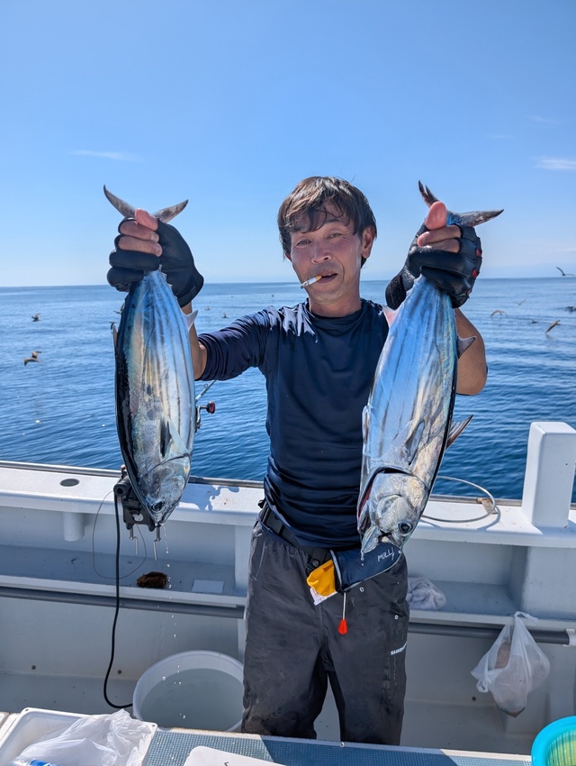 ホンガツオ(カツオ)