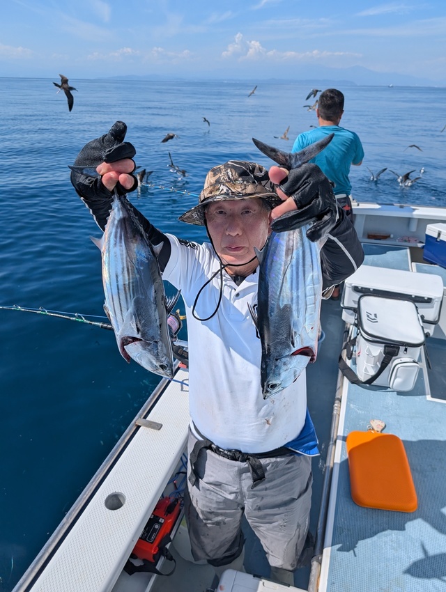 ホンガツオ(カツオ)