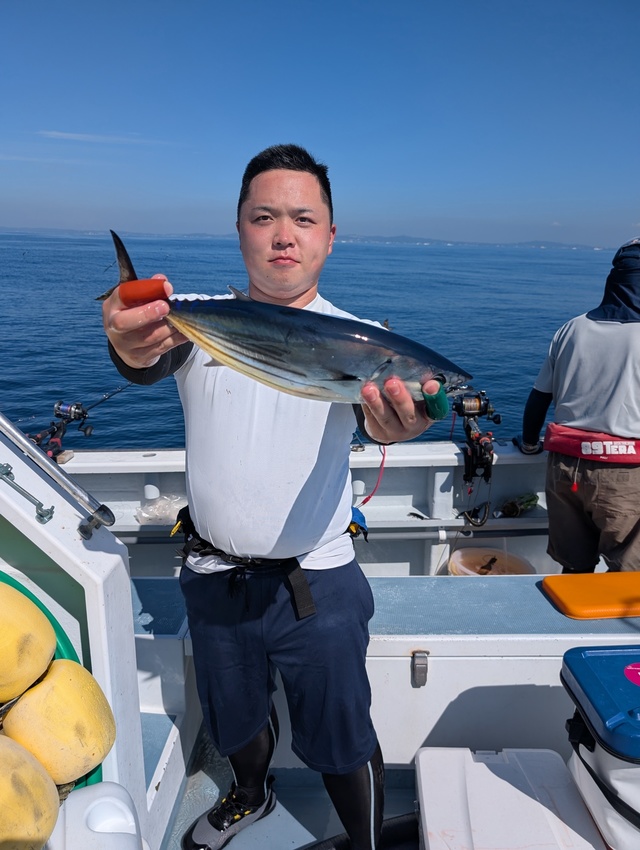 ホンガツオ(カツオ)