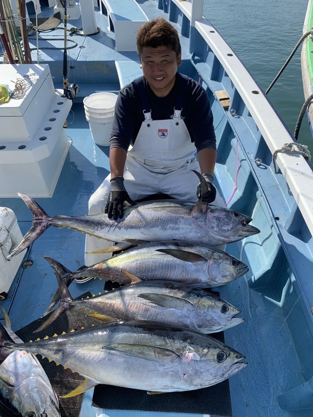 キハダマグロ(キハダ)