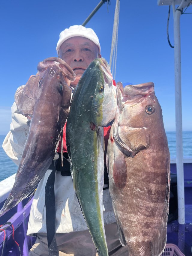 イナダ(ブリ)・ハタ(マハタ)