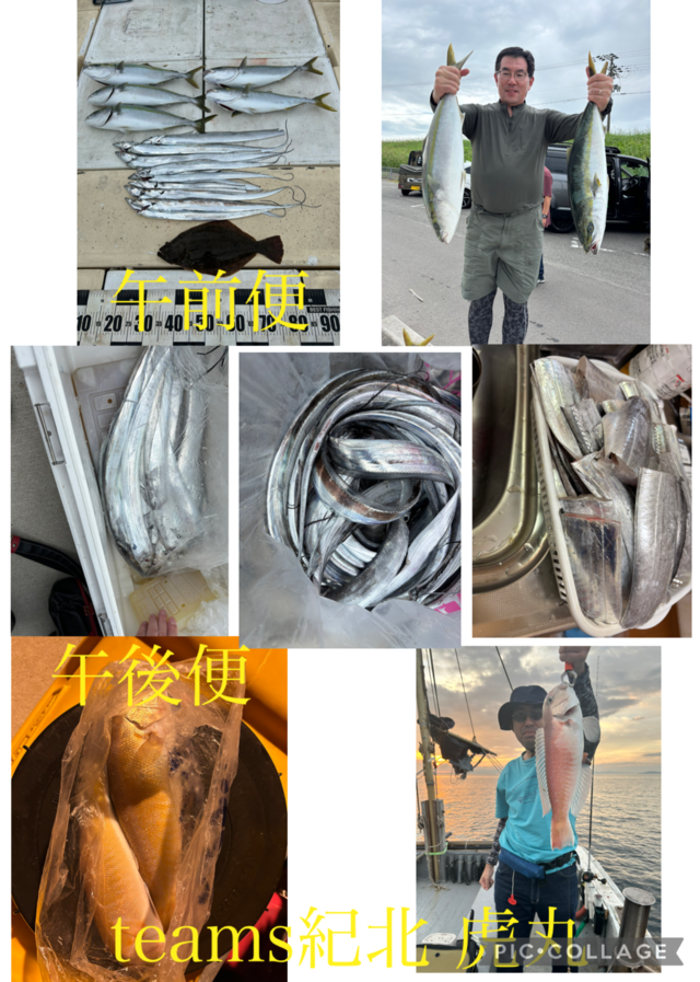 メジロ(ブリ)・シロアマダイ・タチウオ・ヒラメ