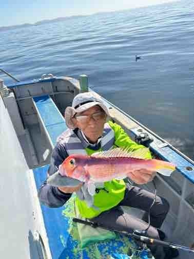 アマダイ(アカアマダイ)