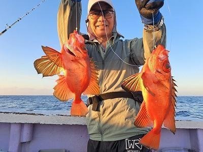 キントキ(チカメキントキ)