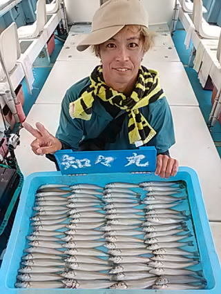 キス(シロギス)