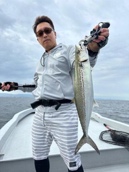 サゴシ(サワラ)