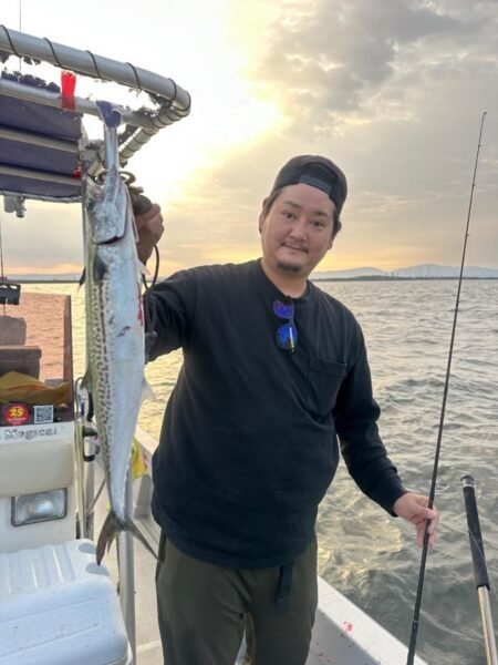 サゴシ(サワラ)