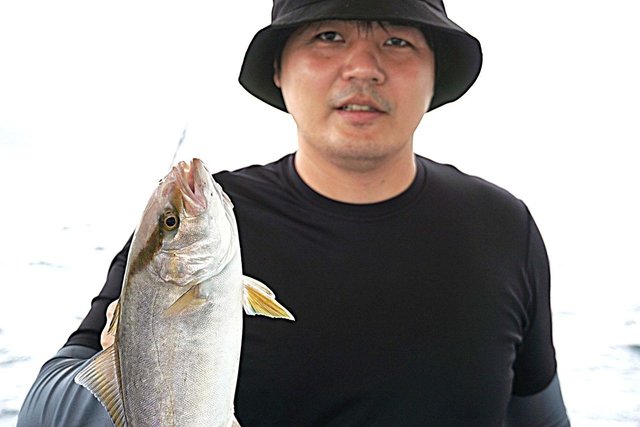 シオ(カンパチ)