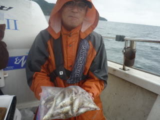 キス(シロギス)